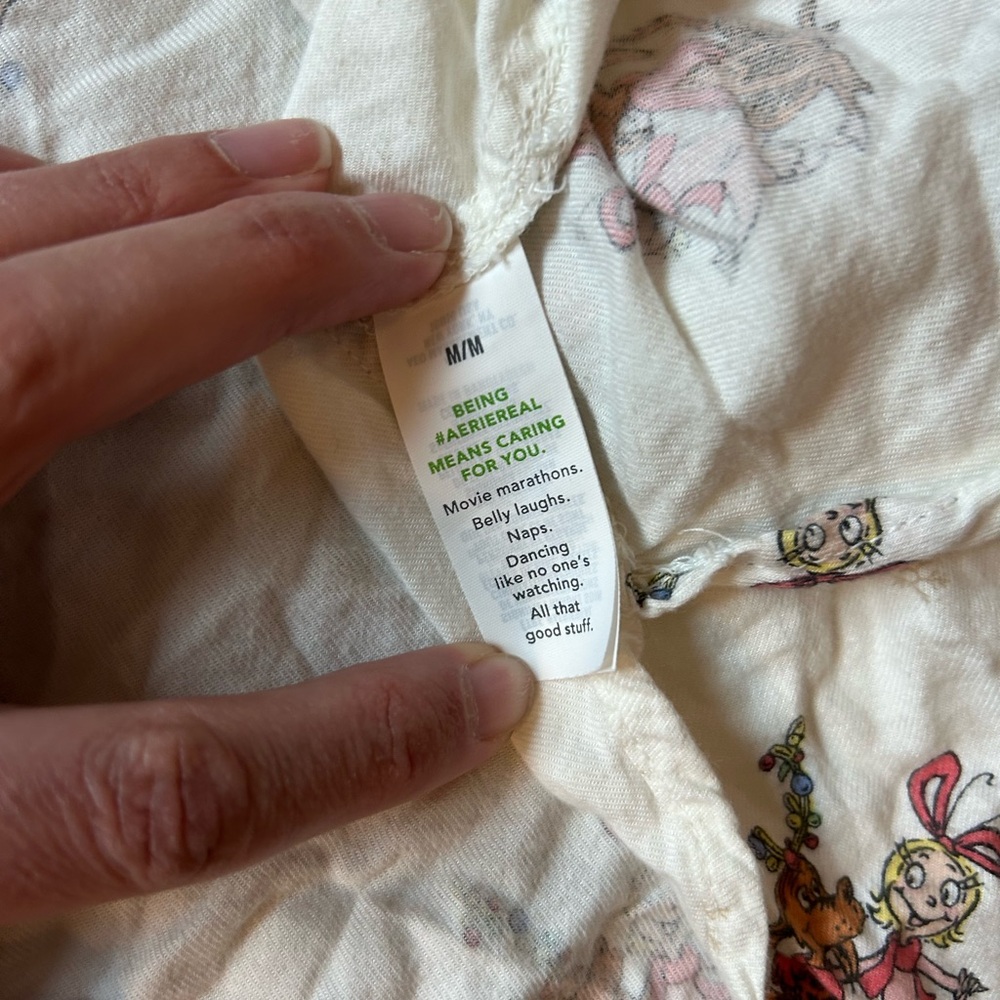 Aerie Grinch Cindy Lou flannel pajamas size medium Christmas holiday - Picture 5 of 8